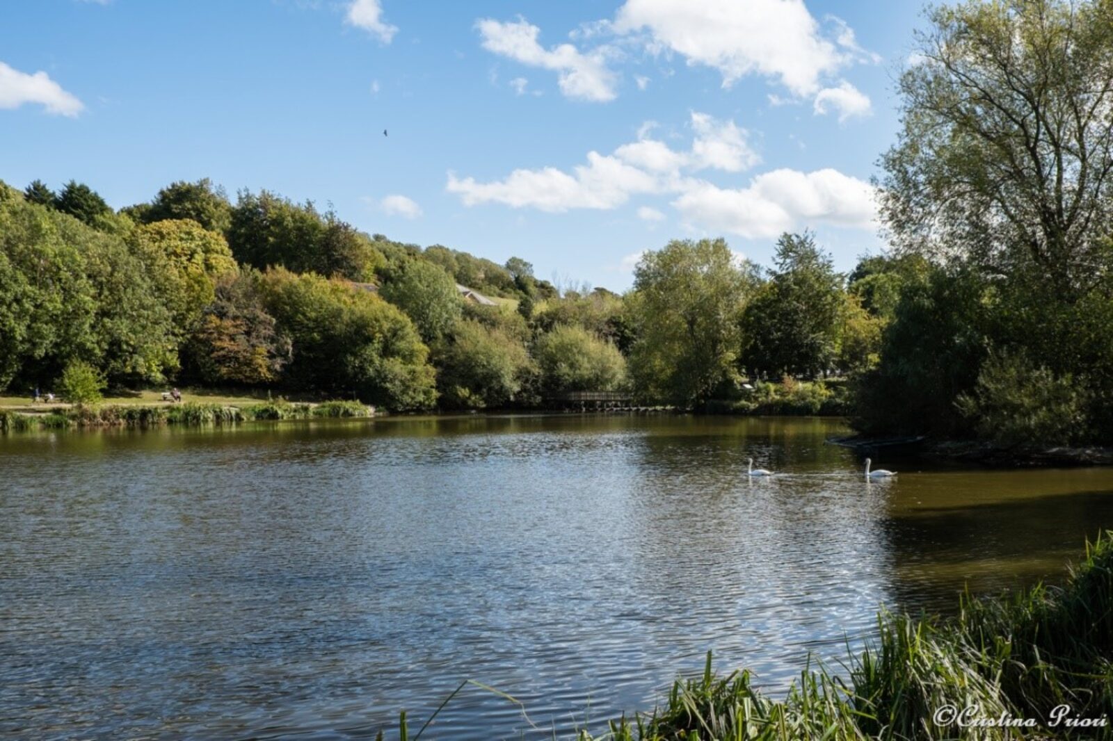 The lake at Capstone (Credit - Cristina Priori )