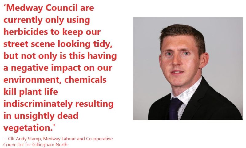Herbicides cause dead vegetation which does not help to keep the street scene tidy